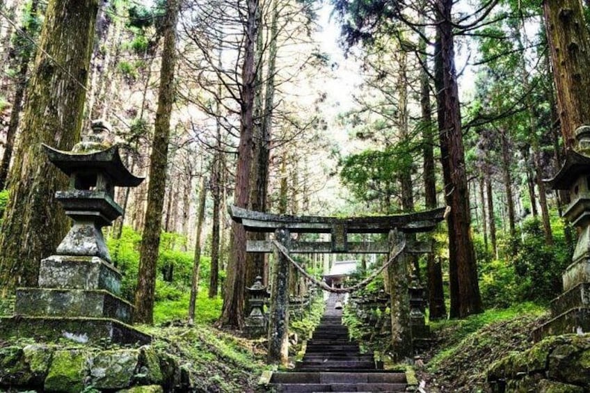 Day Tour to Miyazaki Takachiho Gorge & Shrine depart from Fukuoka 2