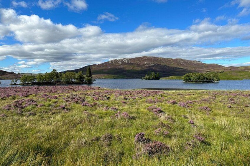 Half Day Loch Ness Circular Tour 4
