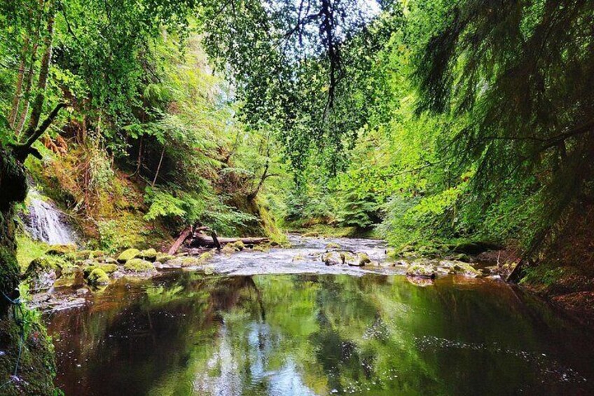 North Day Tour: Dunrobin Castle, Glenmorangie, Dornoch and More 4
