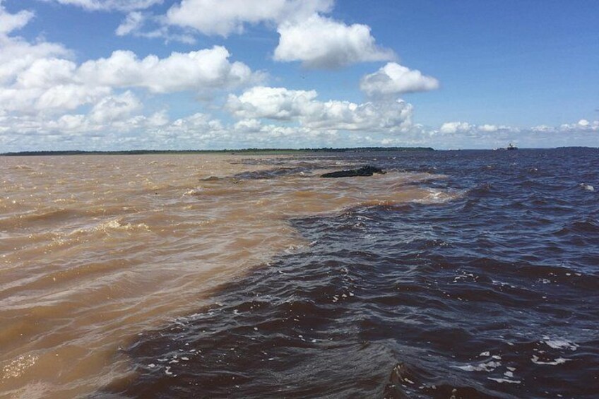 A body of water with a brownish hue, possibly due to sediment, under a partly cloudy sky. 3