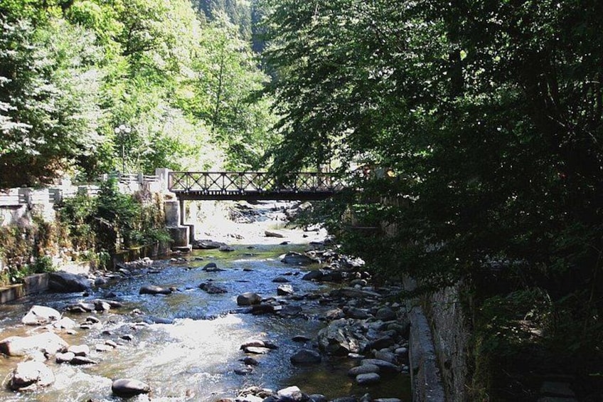 Full Day Guided Shared Tour in Vardzia, Rabati and Borjomi 2