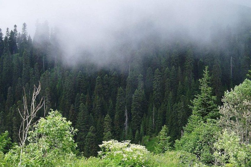 Full Day Guided Shared Tour in Vardzia, Rabati and Borjomi 4
