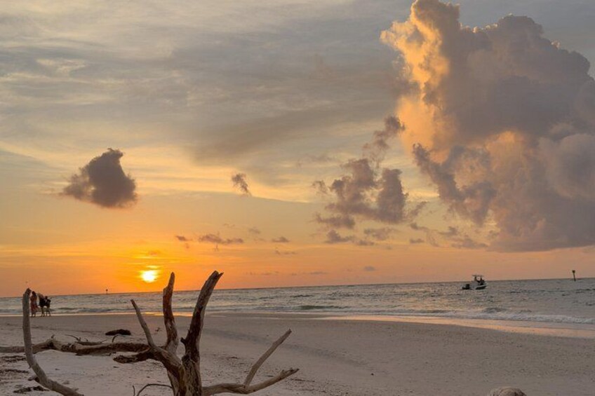 Une plage au coucher du soleil, avec une formation nuageuse imposante, un bateau sur l’eau et un chien sur le sable. 2