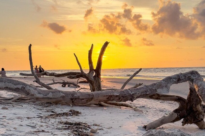 Un coucher de soleil sur une plage, avec des morceaux de bois flotté et des personnes en arrière-plan. 4