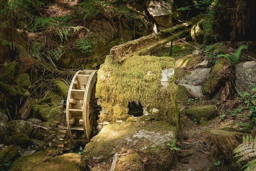 Ein von Moos bewachsenes hölzernes Wasserrad in einem bewaldeten Gebiet. 2