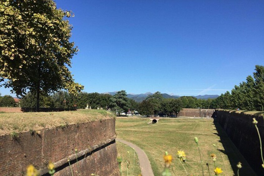 A grassy field with a brick wall, a tree, and a tunnel in the distance. 4