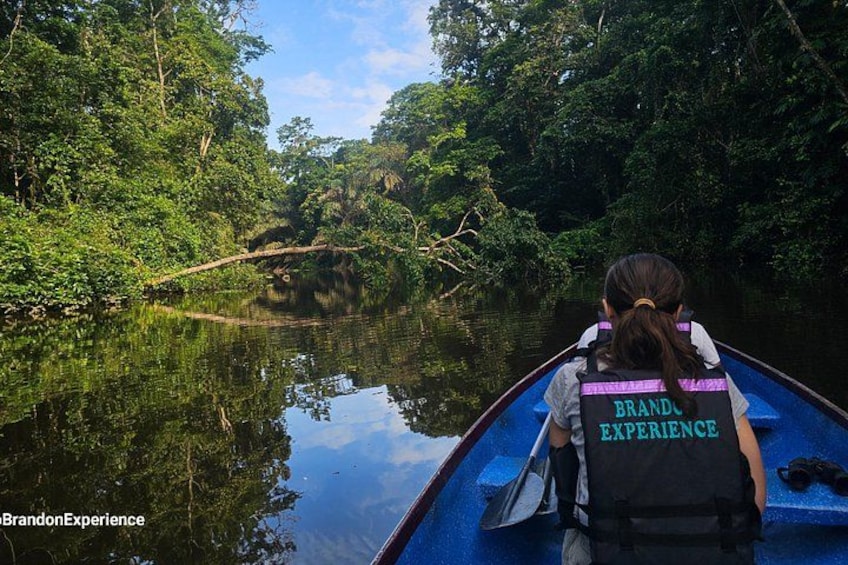 A person in a boat on a river surrounded by dense greenery. 1