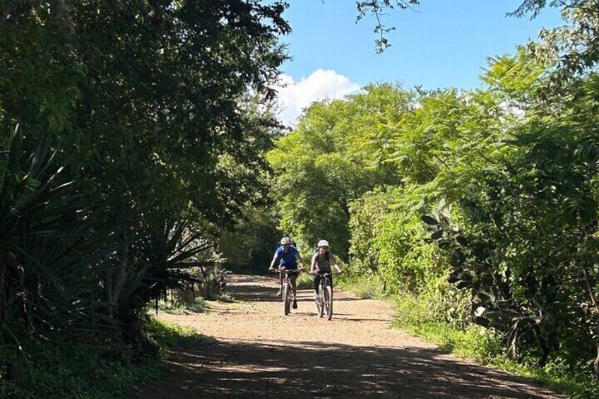 Two cyclists on a dirt path surrounded by dense greenery. 5