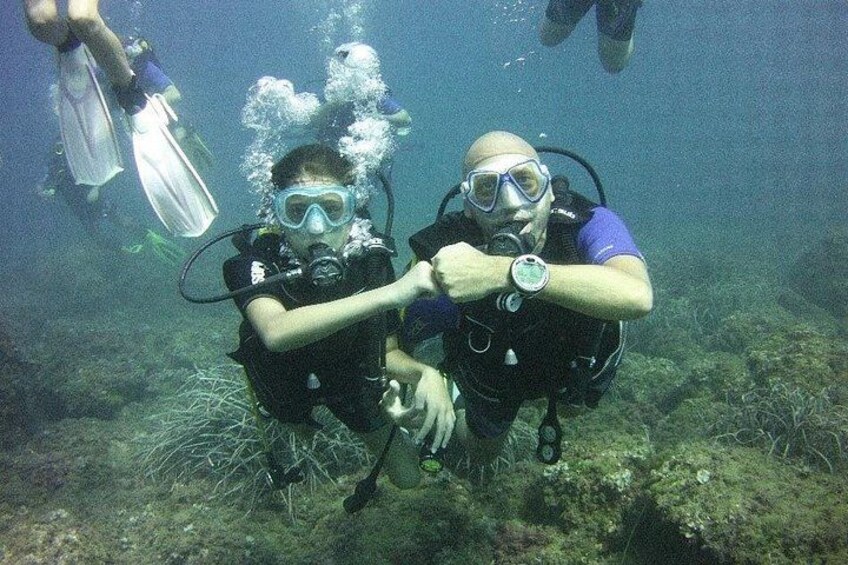 Guided dive for certified divers 2