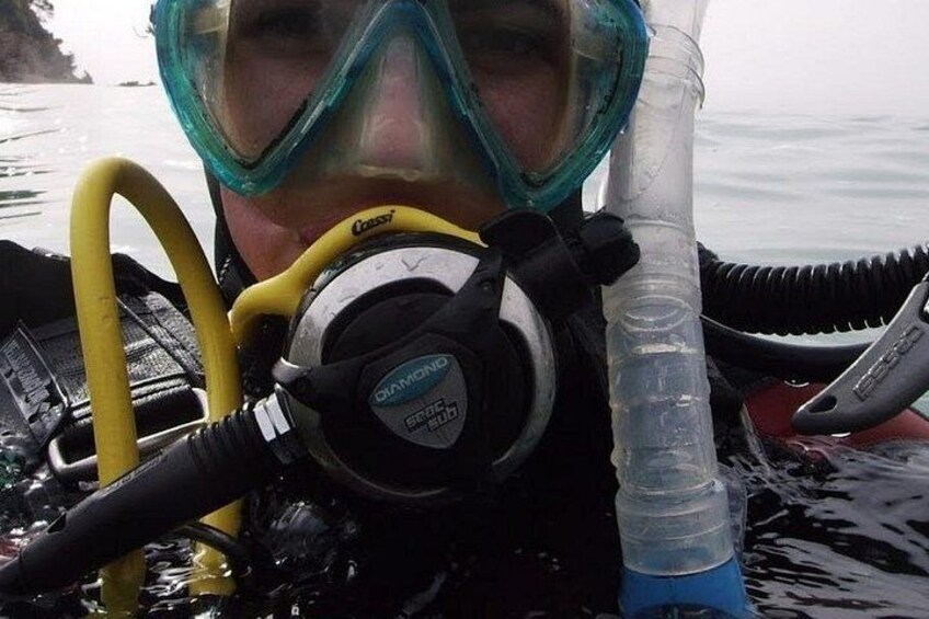 A person wearing a scuba diving mask, snorkel, and a regulator. 2