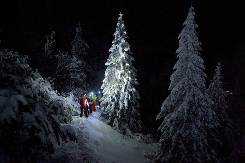 A snow-covered forest path at night with illuminated trees and people walking. 4