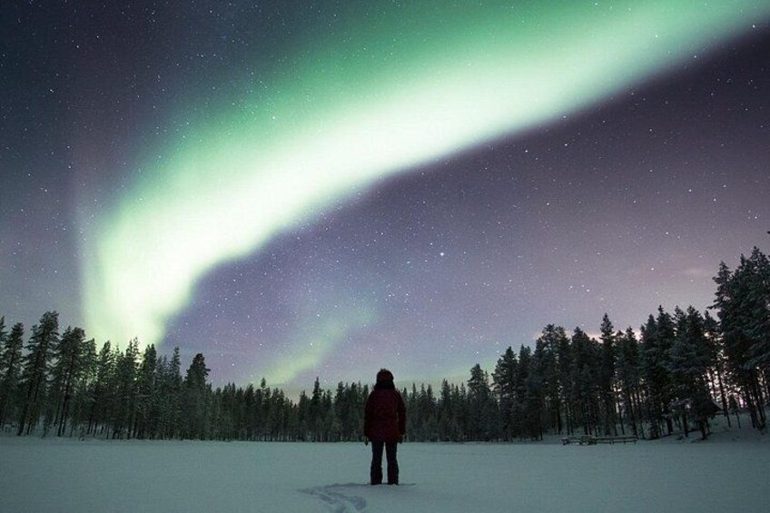 A person standing in a snowy forest under a night sky with the aurora borealis. 1