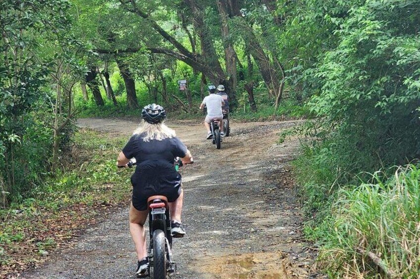 Mangrove Tunnel, E-Bike Adventure, Food Tasting & Beach daypass 5