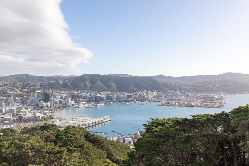 A coastal cityscape with a marina, hills in the background, and dense greenery in the foreground. 1