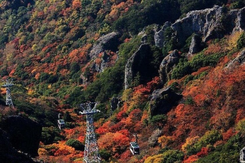 A mountainous landscape with autumn foliage, power lines, and a rocky terrain. 2