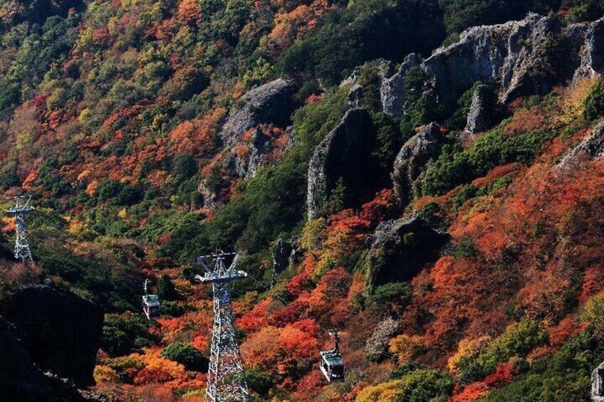 A mountainous landscape with autumn foliage and power lines. 2