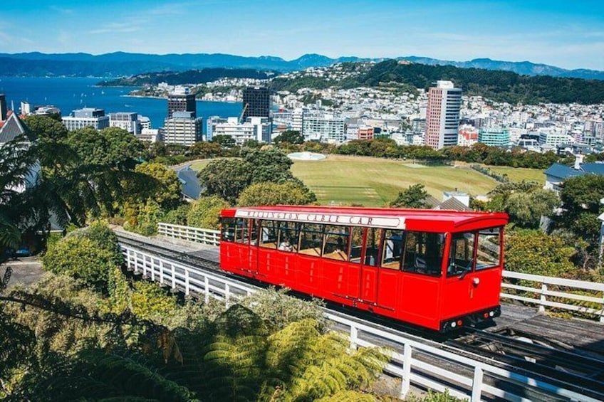 Your day out includes a ride on the Cable Car enjoying spectacular views of our spectacular city. All aboard! 2