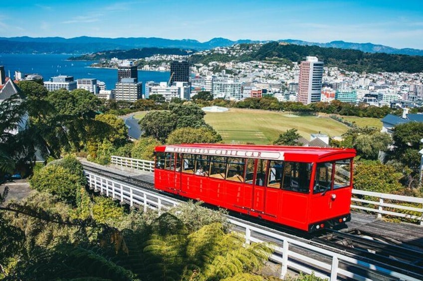 Your day out includes a ride on the Cable Car enjoying spectacular views of our spectacular city. All aboard! 2