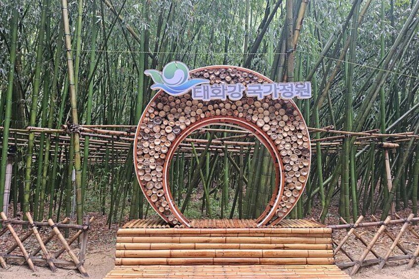 A bamboo forest with a circular wooden structure and a sign. 4