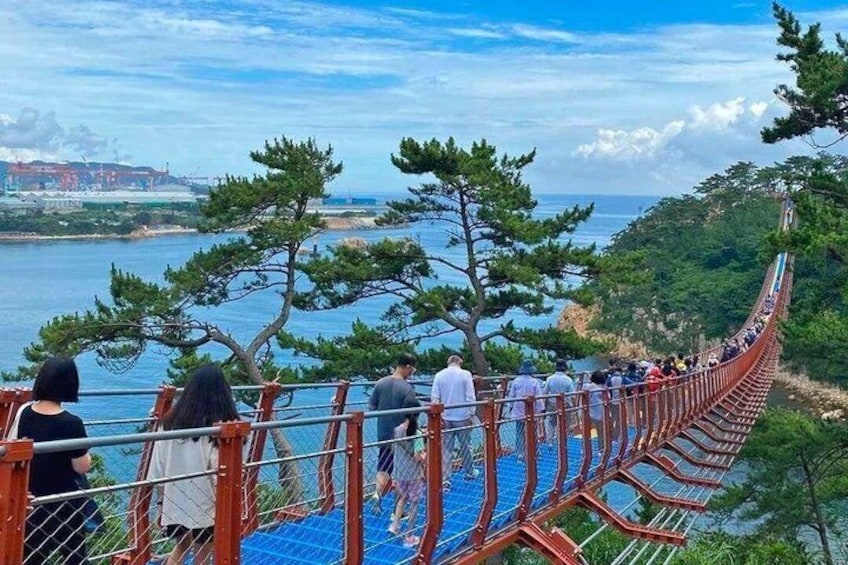 Ulsan Full Day Private Car Tour from Busan with a Certified Guide 3