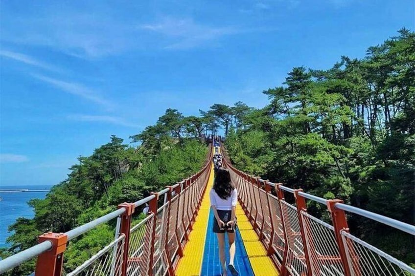 A person walking on a colorful suspension bridge surrounded by lush greenery and overlooking a body of water. 2