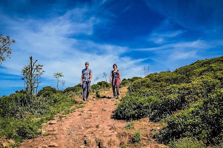 Two people hiking on a dirt trail surrounded by greenery. 3