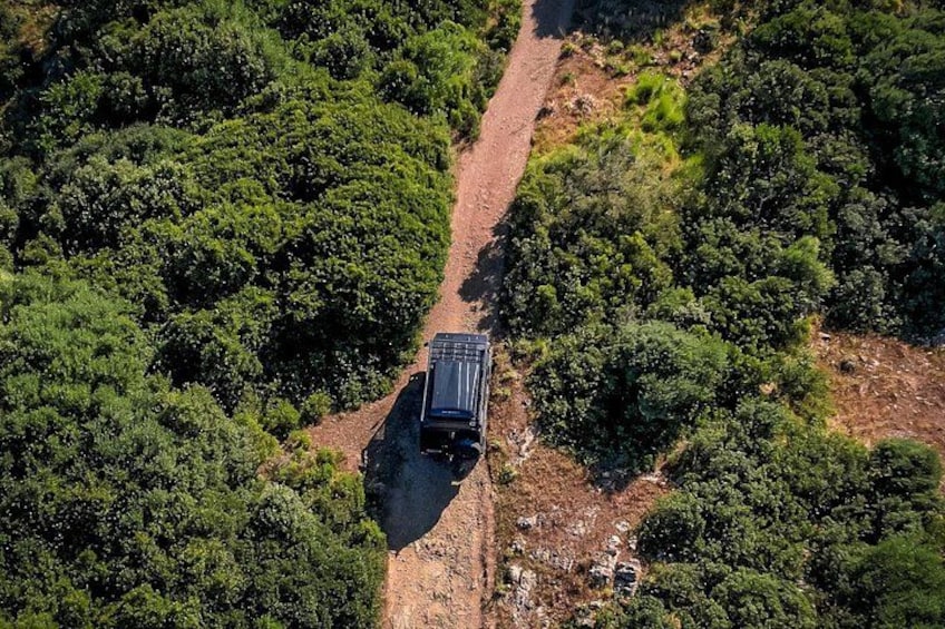 A vehicle on a dirt path surrounded by dense green vegetation. 4