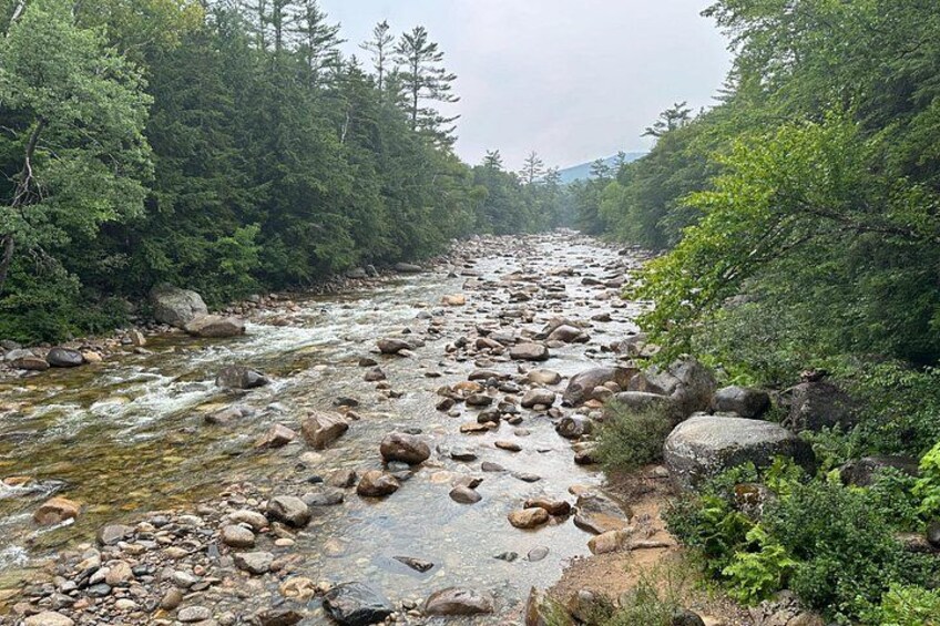 A river with rocks and trees. 2
