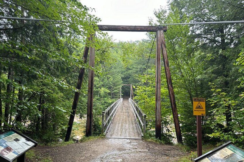 A wooden suspension bridge surrounded by dense forest. 3