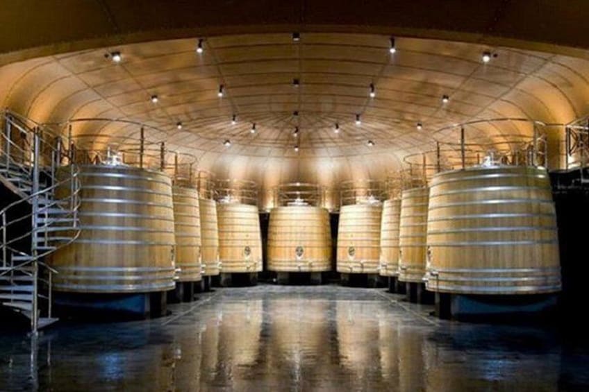 Guided tour of Sonsierra country basket and Wine Museum 2