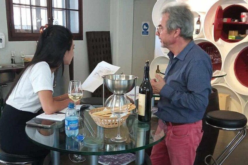 Swiss Vineyard Wine Tasting Tour in Vaud 2