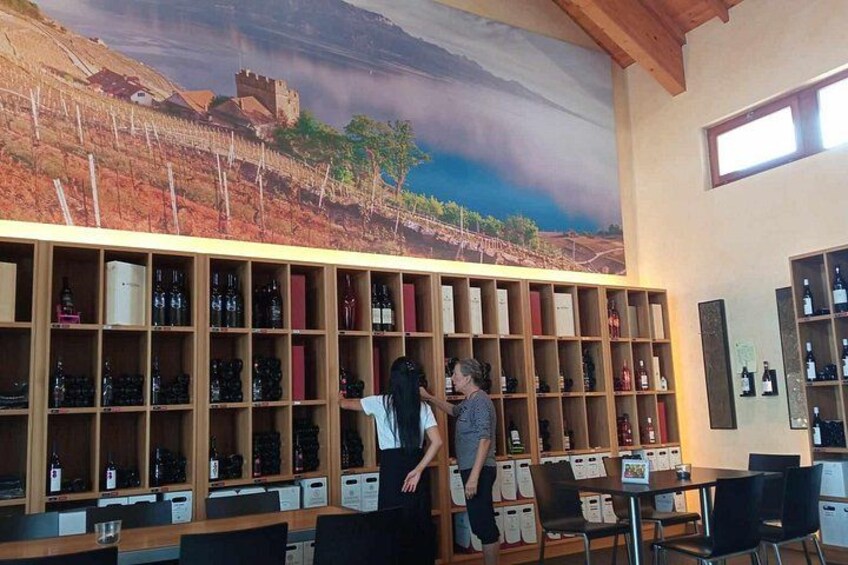 Swiss Vineyard Wine Tasting Tour in Vaud 2