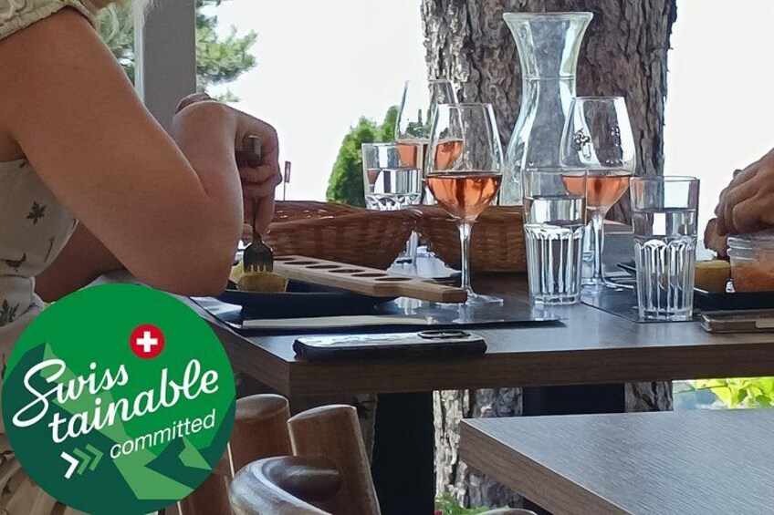 Swiss Vineyard Wine Tasting Tour in Vaud 1