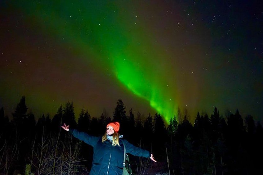 A person standing with arms outstretched under a night sky with green aurora borealis. 3