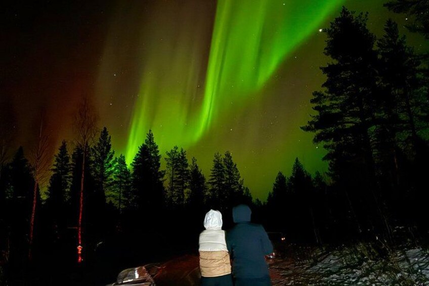 A night scene with the Northern Lights over a forest. 1
