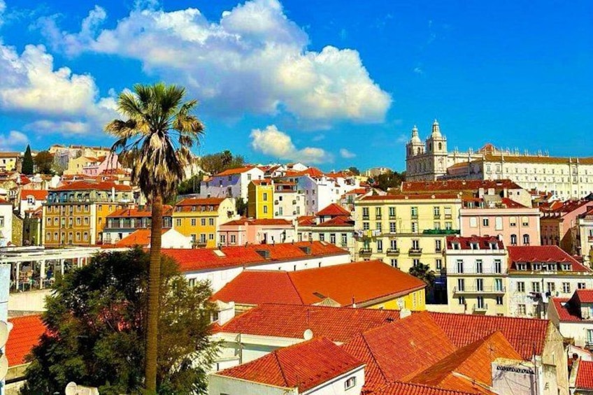 Un paisaje urbano costero con edificios de techo rojo, una palmera destacada y un edificio blanco grande con una torre. 3