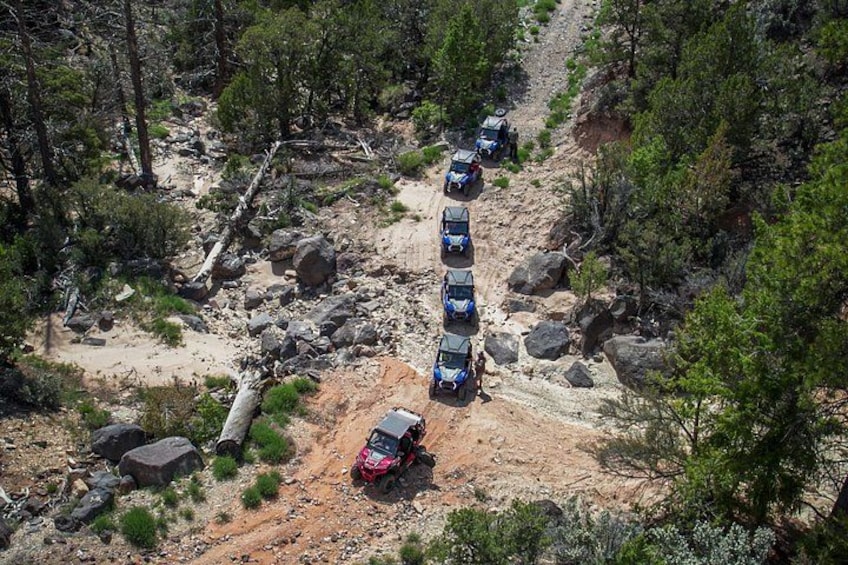 Ein Feldweg mit geparkten Fahrzeugen, umgeben von Bäumen und Felsen. 4