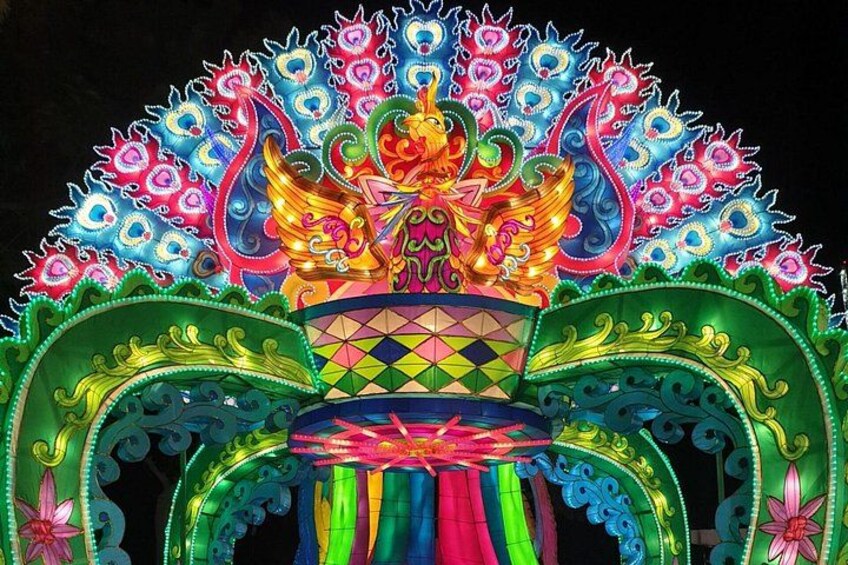 Dubai Garden Glow Entry Ticket 4