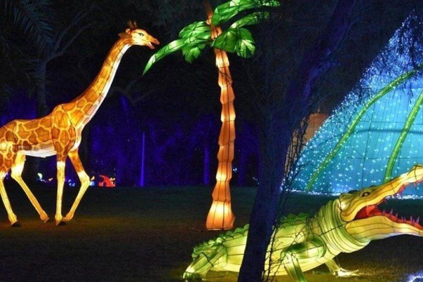 Dubai Garden Glow Entry Ticket 5