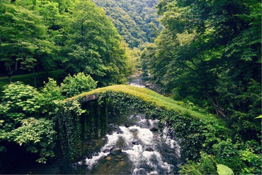 A river flowing through a lush, green valley with dense foliage on both sides. 2