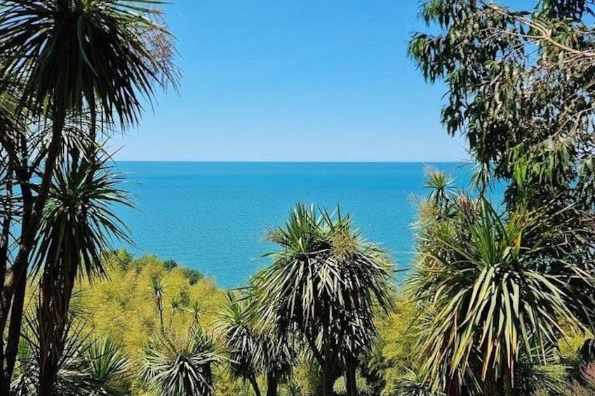 A coastal landscape with palm trees and a clear blue sea. 3