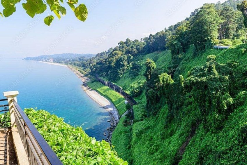 A coastal landscape with a road curving along the shore, dense green vegetation, and a clear view of the sea. 1