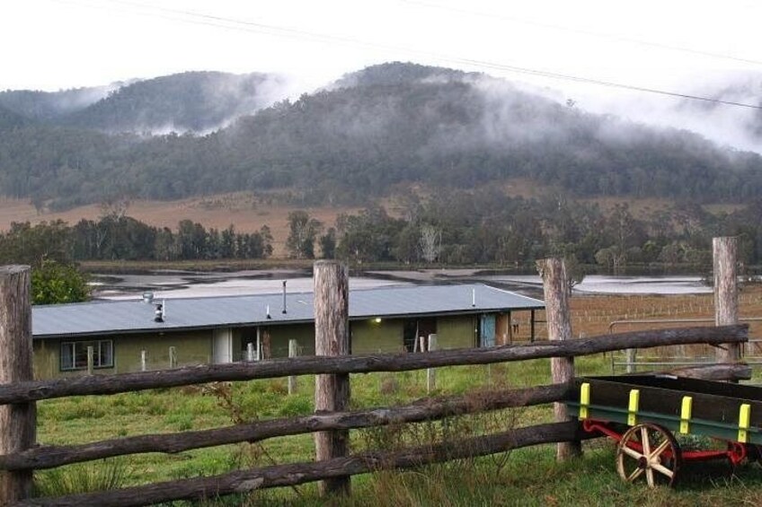 Full Day Gokula Farm and Cessnock with New Castle 3