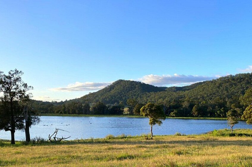 Full Day Gokula Farm and Cessnock with New Castle 2