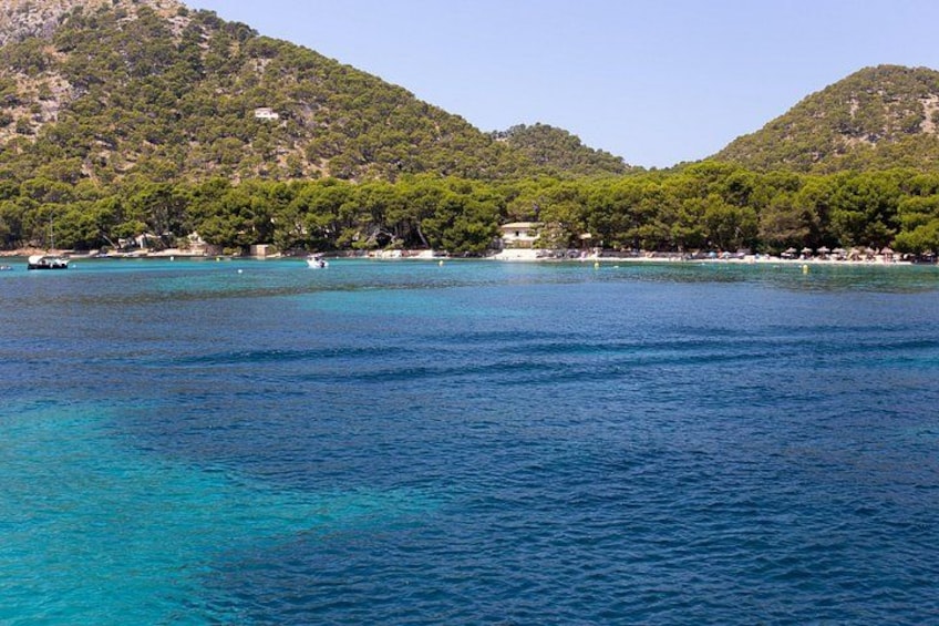 A coastal landscape with clear blue waters, a beach, and a hill with dense vegetation. 5