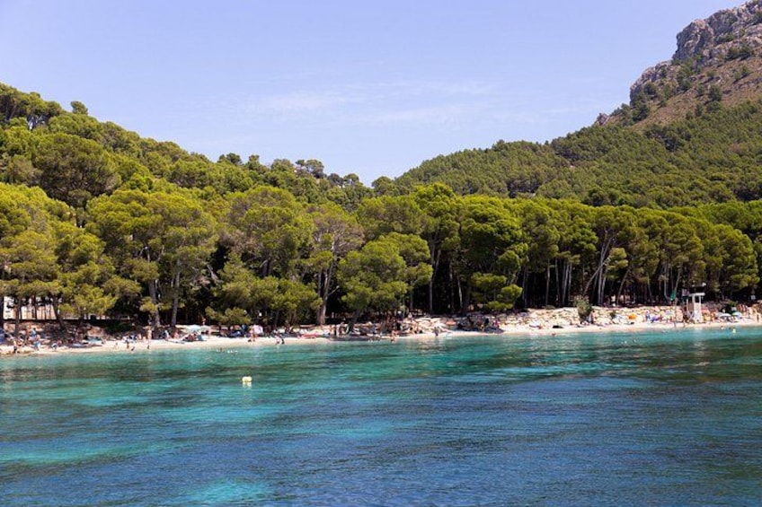 A coastal beach with clear turquoise water, a sandy shore, and a backdrop of dense green trees on a hillside. 2