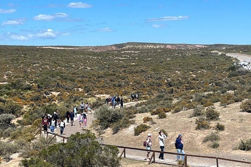 Wüstenlandschaft mit einer Gruppe von Menschen, die auf einem unbefestigten Weg unterwegs sind. 2