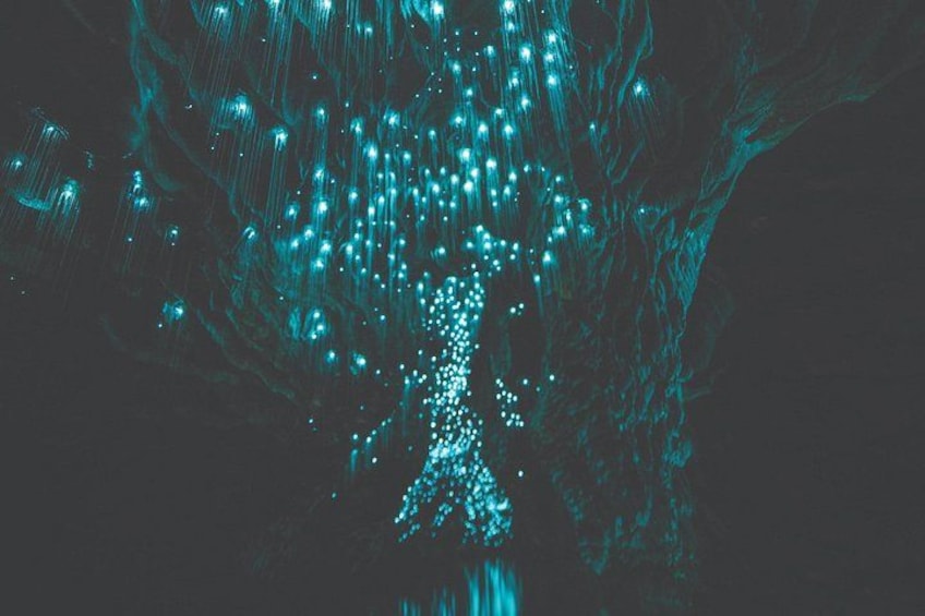 A tree with a human figure made of light. 4