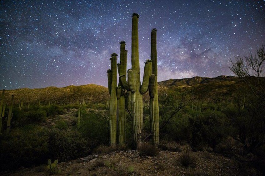 Self Guided Driving Audio Tour of Saguaro National Park 3