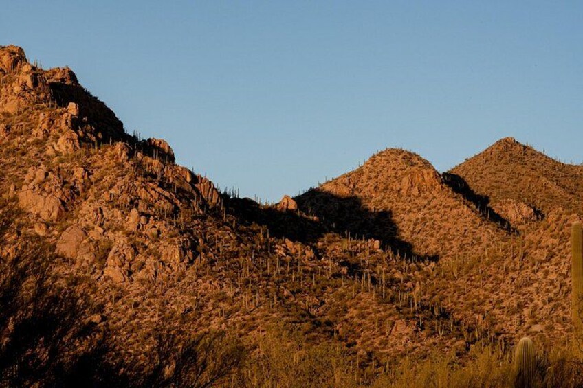 Self Guided Driving Audio Tour of Saguaro National Park 5